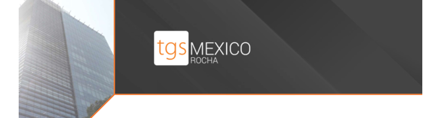 Portada Folleto TGS Mexico 2025